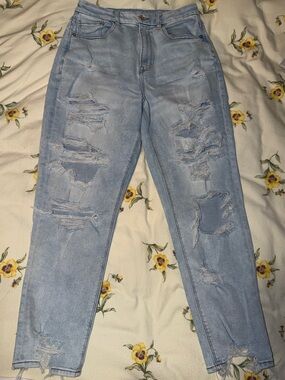 American Eagle High Rise Mom Jean CURVY Size 10